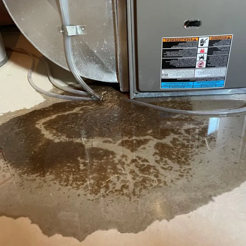 Pipe Burst and Leak Restoration in Sheridan, WY